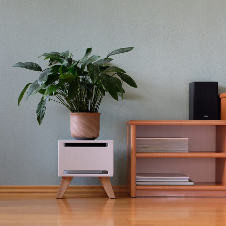 Ezra Classic – Weiß/Holz